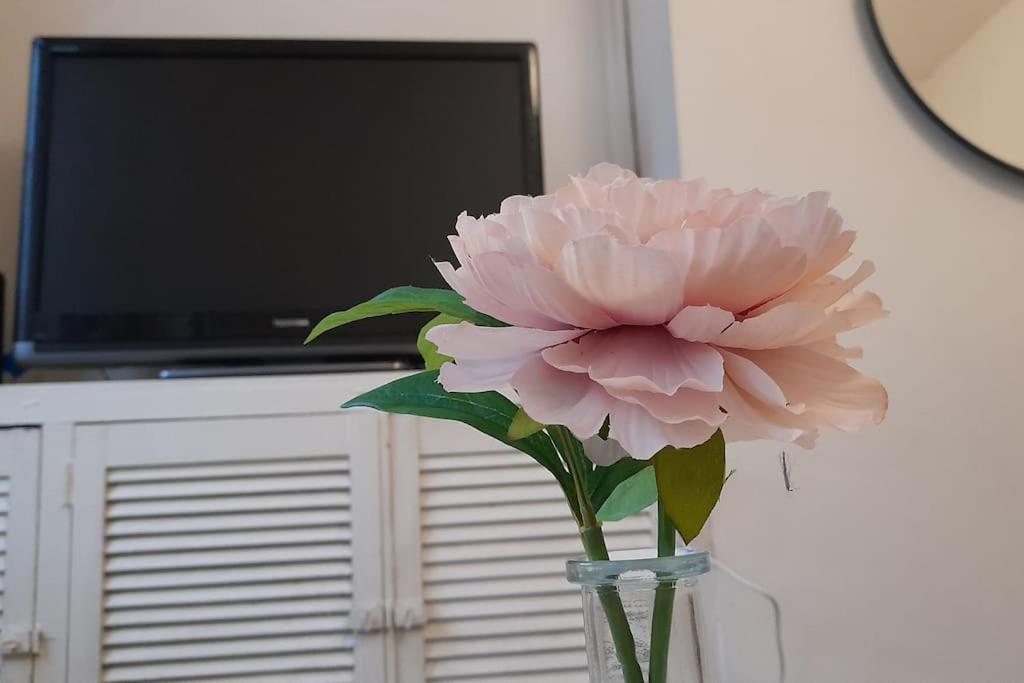 Spacious 4 Bedroom, Free Netflix, Central Location Cardiff Exterior photo